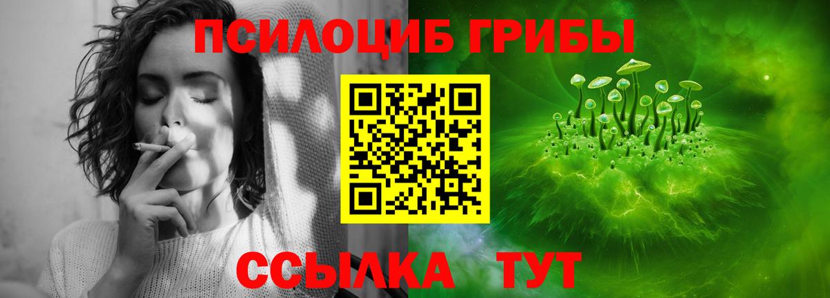 Галлюциногенные грибы GOLDEN TEACHER Черногорск
