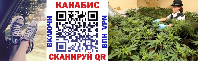 Бошки Шишки SATIVA & INDICA  купить закладку  Черногорск 